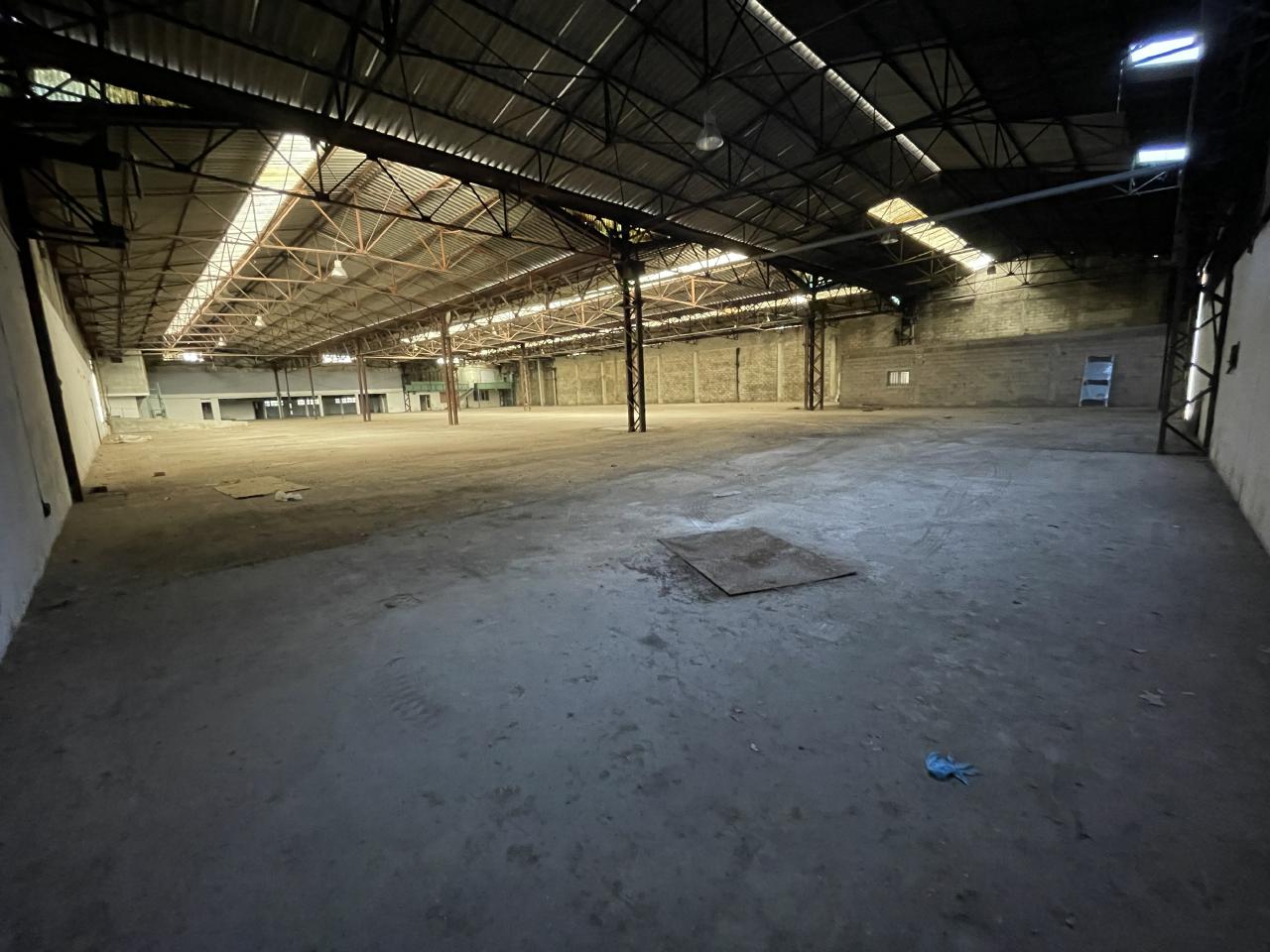 Local d'activité La Trinité 3289m² Location local d'activité La Trinité Alpes-Maritimes OLACT2420973 7